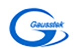 Image of Gausstek logo