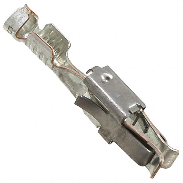 3190564 Image 