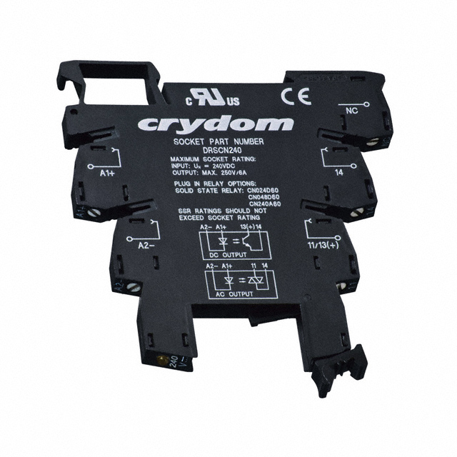 DRSCN240 Image 