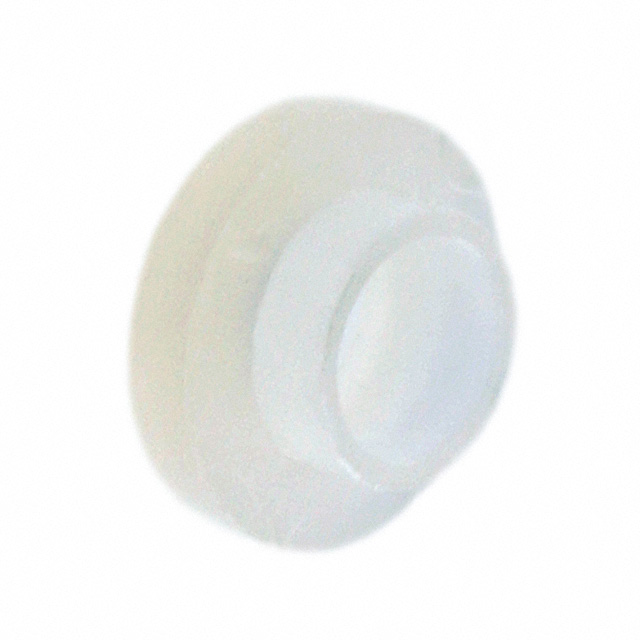 MNI-4-3 Image 