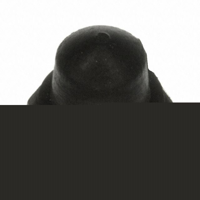 N5040R 2 Image 